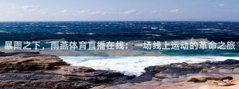 nba劲爆体育在线直播：暴雨之下，雨燕体育直播在线：一场线上运动的革命之旅
