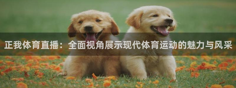 劲爆体育在线直播nba：正我体育直播：全面视角展示现代体育运动的魅力与风采