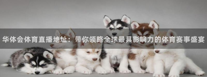 劲爆体育nba在线直播观看高清：华体会体育直播地址：带你领略全球最具影响力的体育赛事盛宴