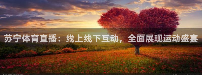 劲爆体育nba在线直播播球帝：苏宁体育直播：线上线下互动，全面展现运动盛宴