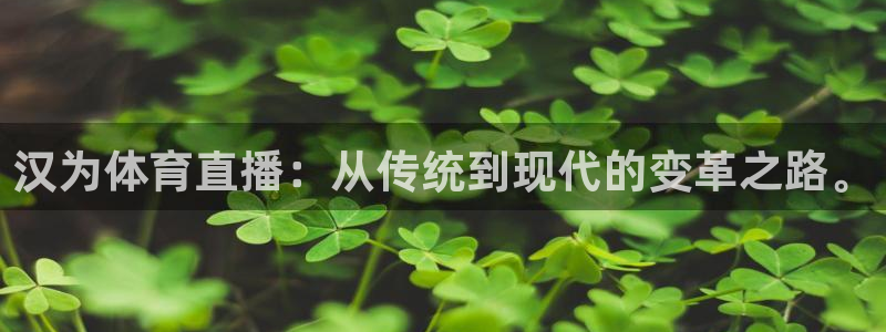 劲爆体育f1直播：汉为体育直播：从传统到现代的变革之路。