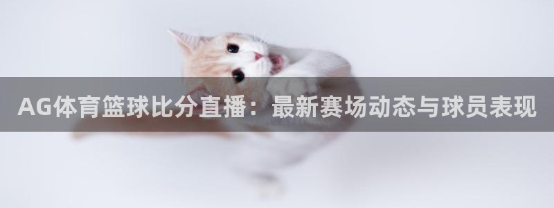 劲爆体育高清在线直播观看：AG体育篮球比分直播：最新赛场动态与球员表现