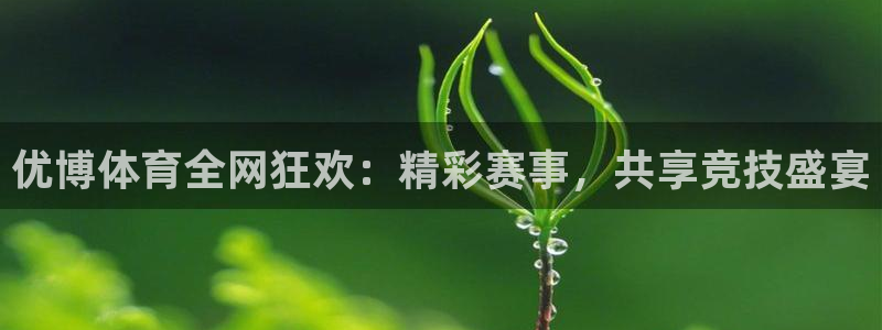 劲爆体育nba今天直播：优博体育全网狂欢：精彩赛事，共享竞技盛宴