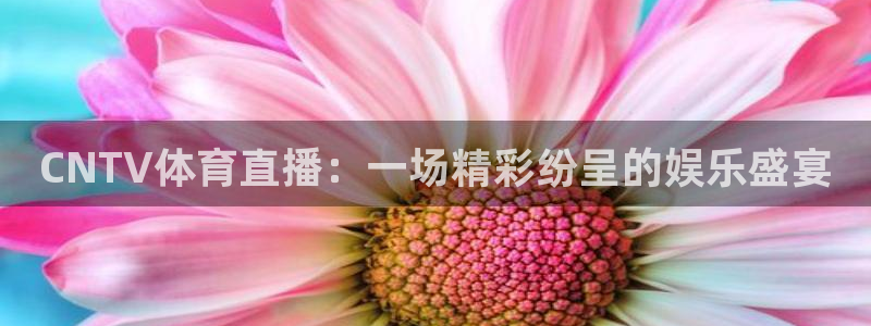 劲爆体育在线直播nba高清：CNTV体育直播：一场精彩纷呈的娱乐盛宴