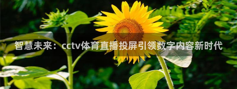 下载劲爆体育在线直播：智慧未来：cctv体育直播投屏引领数字内容新时代